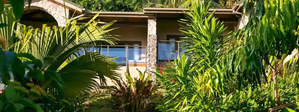 Coco De Mer-1